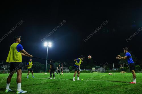 HARIMAU MALAYA
