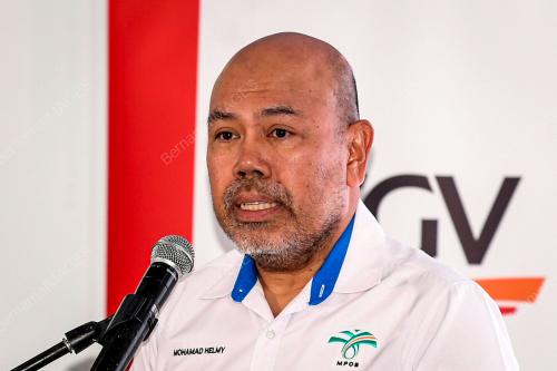 DATUK MOHAMAD HELMY OTHMAN BASHA