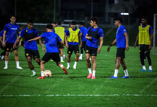 HARIMAU MALAYA