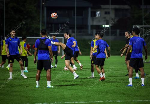HARIMAU MALAYA