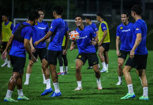HARIMAU MALAYA