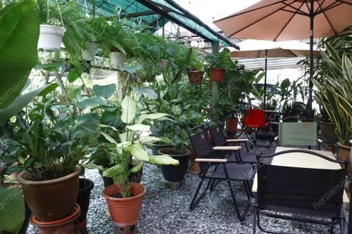 THE 28 CAFE