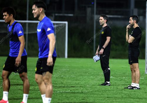 HARIMAU MALAYA