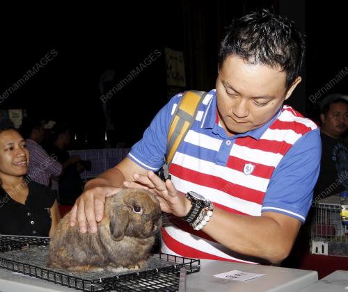 KL_44_10092013_UM_ARBA_OPEN_2013