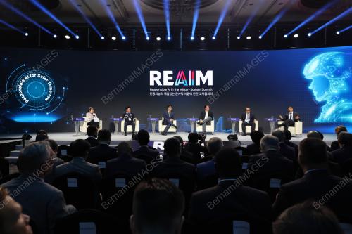 REAIM