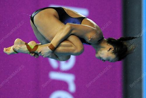 KOR08_02102014_DIVING