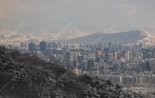 SALJI SEOUL