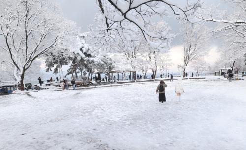 SALJI SEOUL