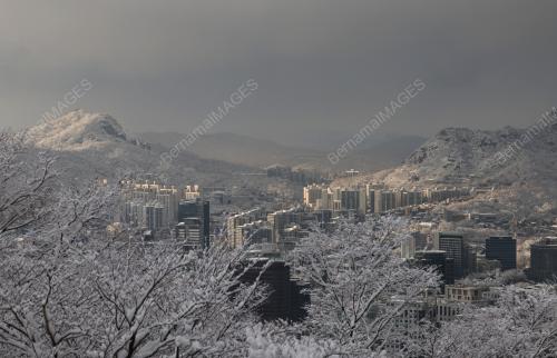 SALJI SEOUL
