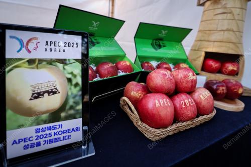 APEC 2025 KOREA