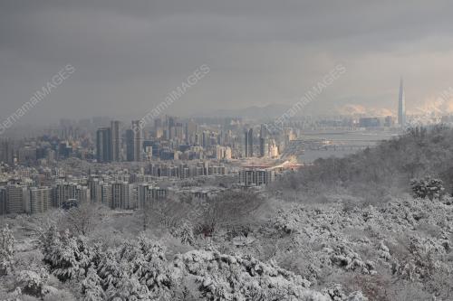 SALJI SEOUL