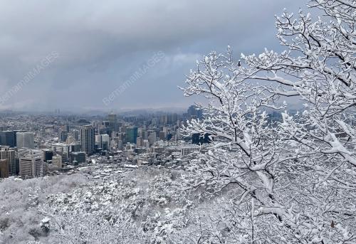 SALJI SEOUL