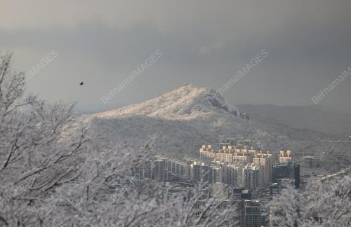 SALJI SEOUL