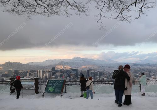 SALJI SEOUL
