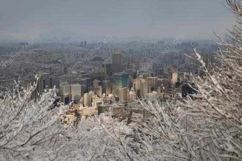SALJI SEOUL