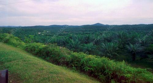 LADANGKE_20012016