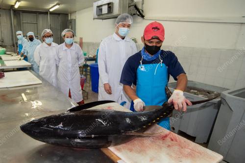 TUNA INDUSTRY