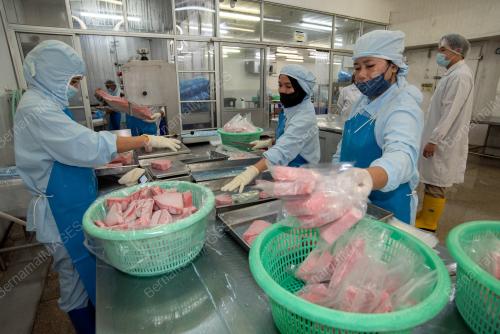 TUNA INDUSTRY