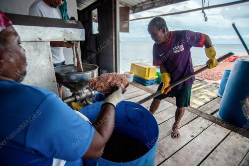 PERUSAHAAN MUSIM BUBUK