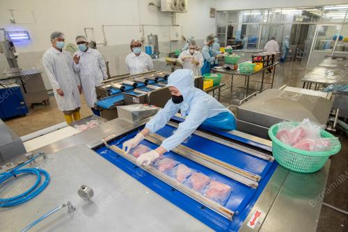 TUNA INDUSTRY