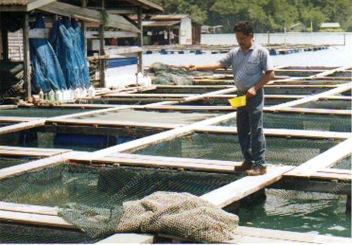LG00-00_09_2000_IKAN_SANGKAR_13012016