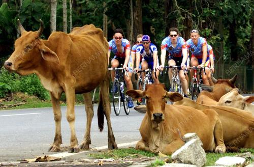LE TOUR DE LANGKAWI 2001