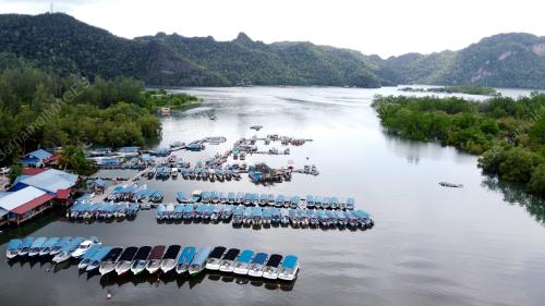 HUTAN BAKAU TANJUNG RHU