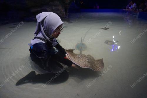 LGK01_07102019_RAY_ARENA