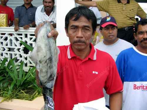 SOTONG