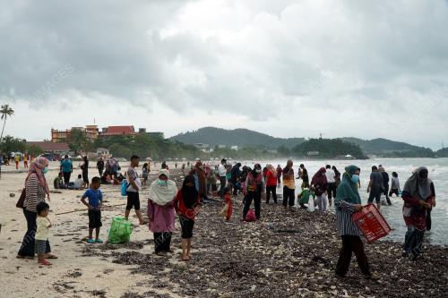 SIPUT PANTAI CHENANG