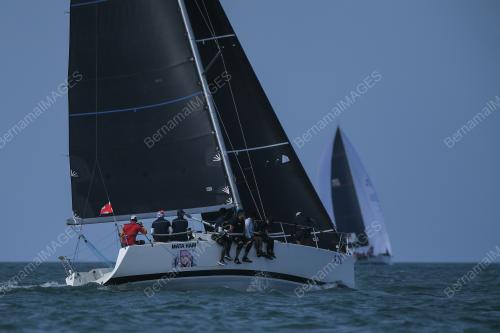 REGATTA LANGKAWI 2024