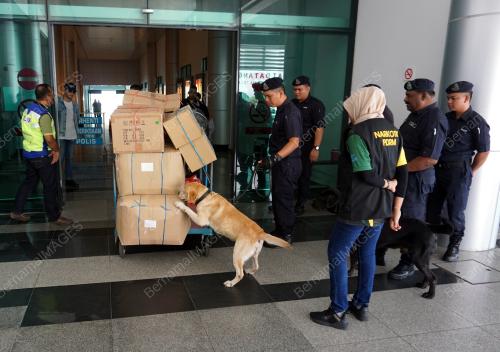 LGK01_18072019_ANJING_K9