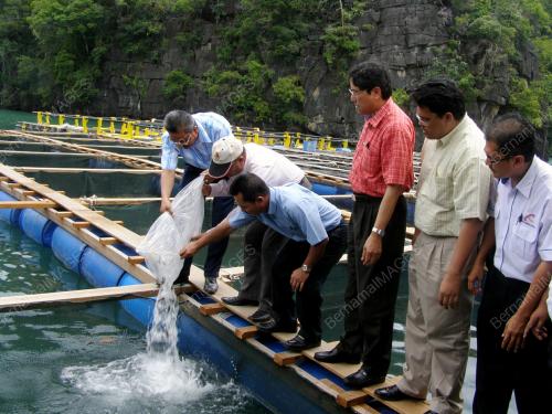PROJEK TERNAKAN IKAN TEKUN