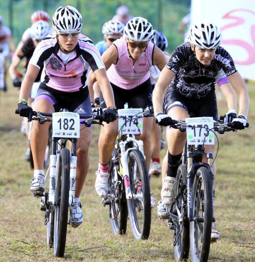 LIMBC 2011