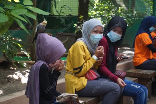 PELITUP SEPARUH MUKA