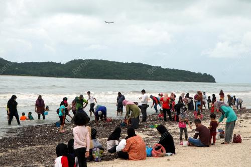 SIPUT PANTAI CHENANG