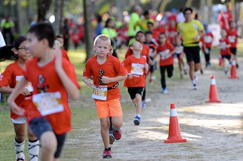 LGK02_11112016_IRONMAN