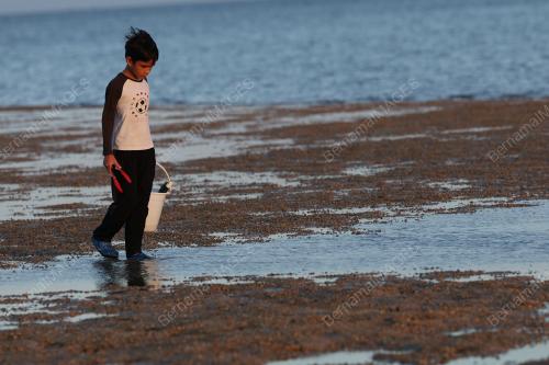 REZEKI AIR LAUT SURUT