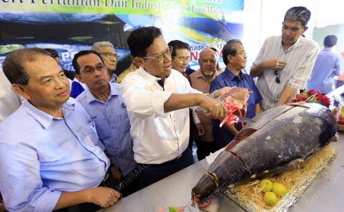 LGK02_13062016_TUNA_SLICING