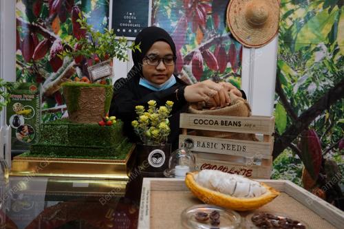 LEMBAGA KOKO MALAYSIA
