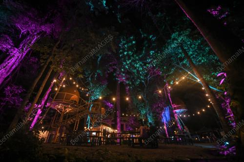 DREAM FOREST LANGKAWI