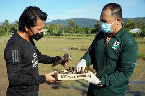 BURUNG CIAK RUMAH