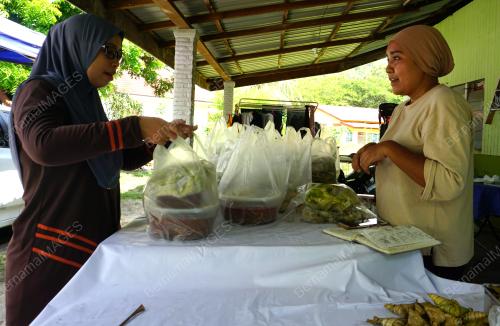 KETUPAT PALAS LANGKAWI