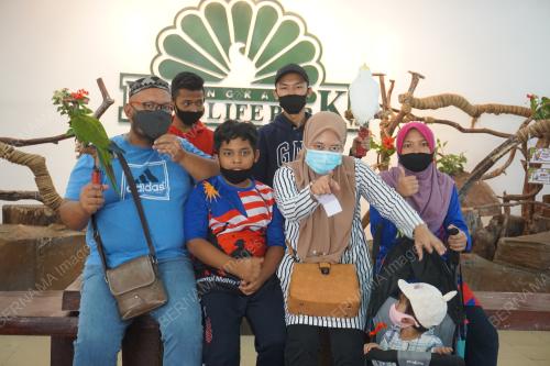 PELITUP SEPARUH MUKA