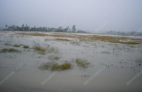 SAWAH TENGGELAMÃÅ 