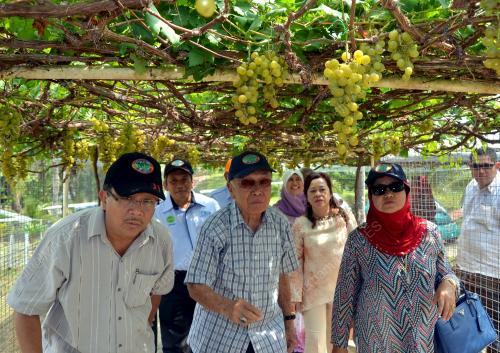 LGK02_28032013_TYT_SARAWAK_LA
