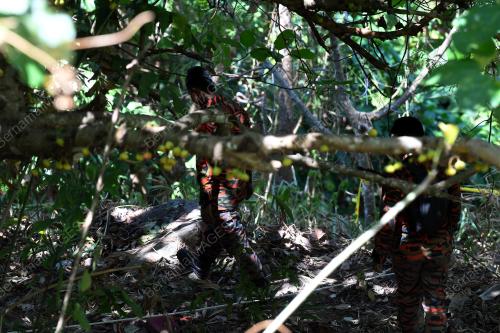 LGK03_07032019_GUNUNG_RAYA