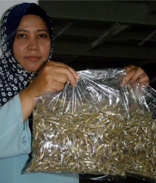 INDUSTRI BILIS