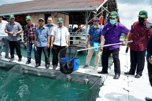 SANGKAR IKAN LAUT