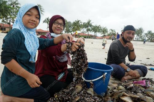 SIPUT PANTAI CHENANG